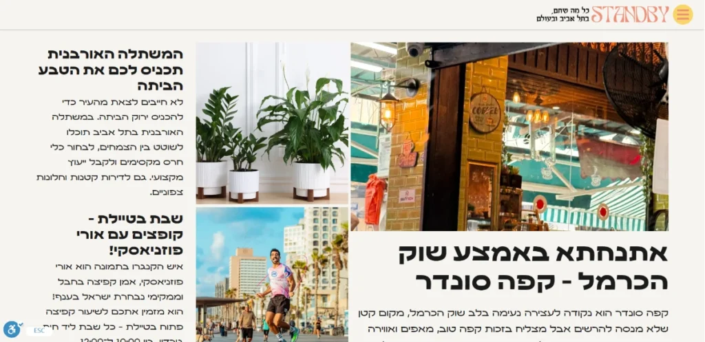 צילום מסך מגזין סטנדביי